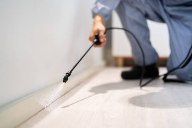 Certified termite inspector examining foundation in Deming